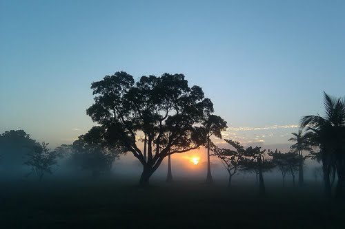 Image selected by project leader